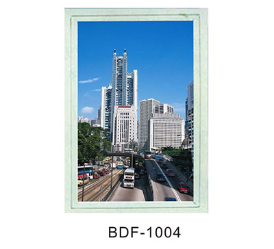 BDF-1004